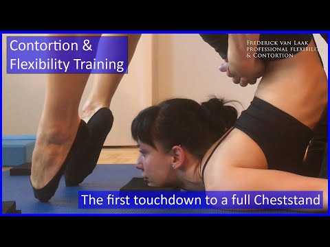70 Flexyart Contortion Training: Vikas 1. Cheststand  - Also for Yoga, Pole, Ballet, Dance People