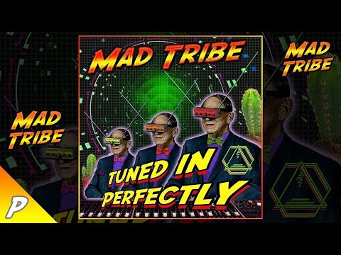Mad Tribe - Tuned In Perfecty (PROMO VIDEO)