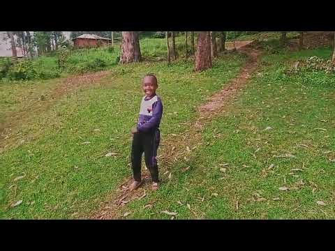 motebie by cyber studios