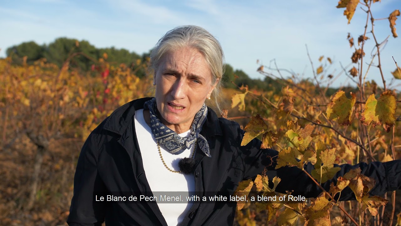 Pech Ménel : la vie du DOmaine et son histoire, Pech Ménel