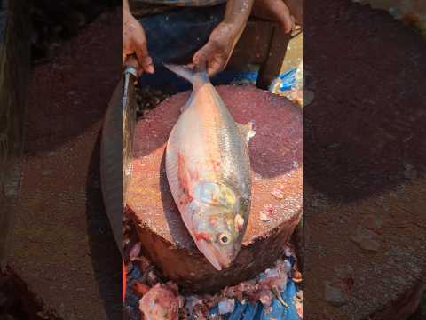 World Famous (Hilsa) Fish Cutting Skills 😱😳 || #shorts #fishcutting_skills #hilsa