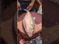 World Famous Hilsa Fish Cutting Skills Shorts Fishcutting Skills Hilsa