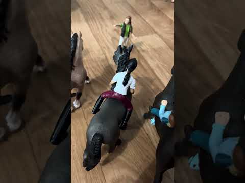 Les vacances commencent mal pour la belle paillette