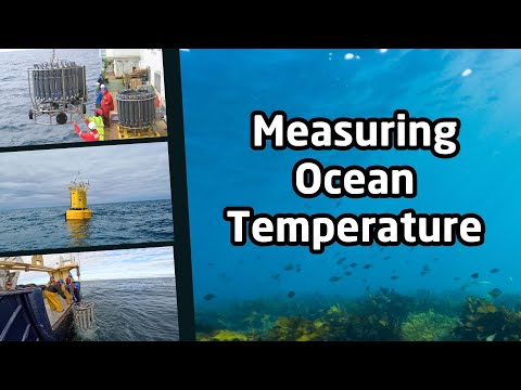 Belle Isle Water Temperature