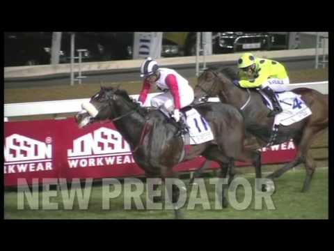 DRILL HALL STAKES 2017