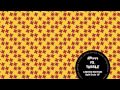 AM444 - Lies 