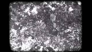 Music video thumbnail preview for Vanhelga - The End Of Reason by Vanhelga