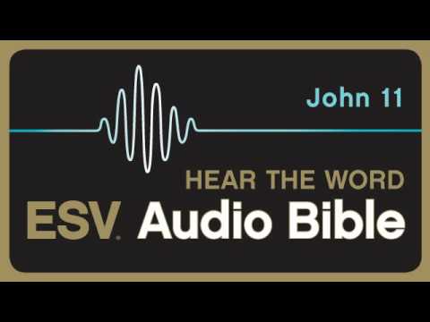 ESV Audio Bible, Gospel of John, Chapter 11