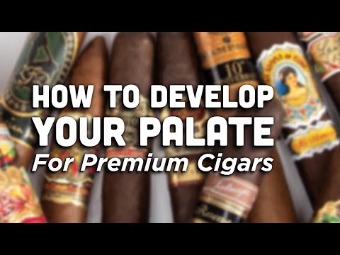 Cigar 101: How to Develop a Palate for Cigars