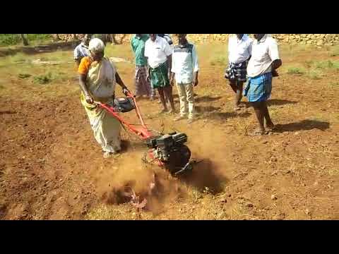 Power weeder Xylem ss 203