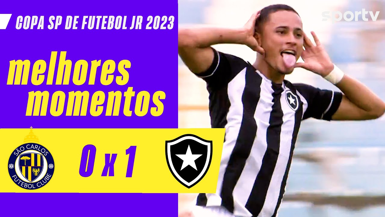 VÍDEO | Gol e melhores momentos da vitória do Botafogo sobre o São Carlos na Copa São Paulo