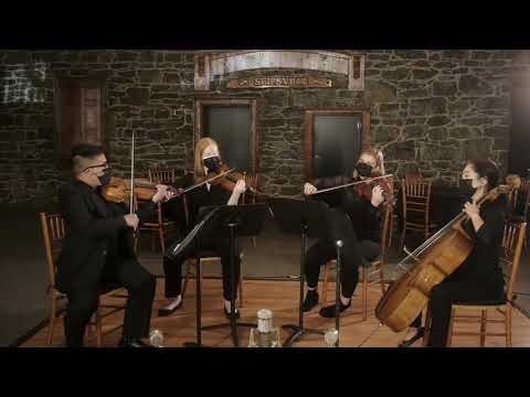 Louis Pettinelli Entertainment video.