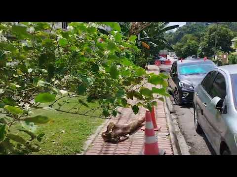 Est8 Construction Progress as of 13/7/24.