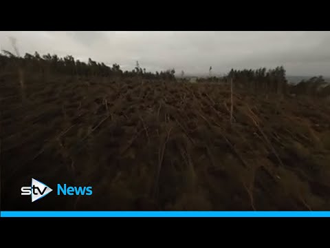 Storm Arwen: Hundreds of trees destroyed in Countesswells Woods