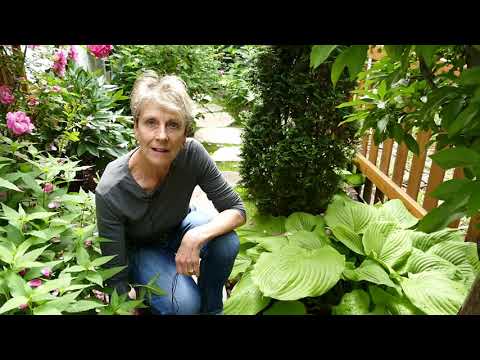 image-How can I design my small garden?