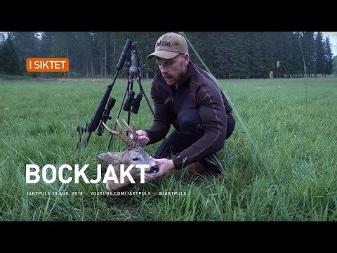 Bockjakt