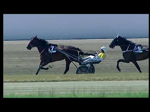 Napoli Trotto 12/06/2021 - 4ª corsa