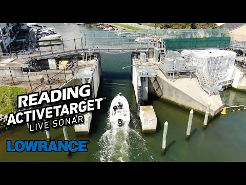 Reading the Lowrance Active Target Transducer