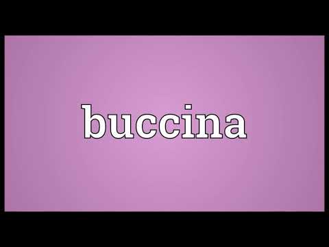 Buccina Meaning