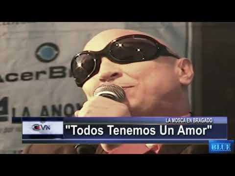 La mosca tse tse todos tenemos un amor en vivo