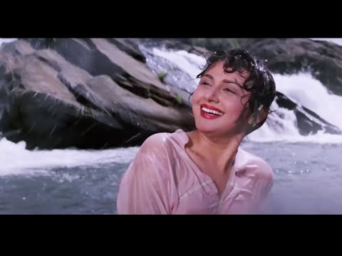 Hum To The Anjaane 💞💞💞- Anuradha Paudwal, Jungle Love Song