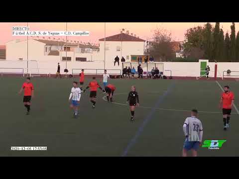 Fútbol A.C.D. S. de Yeguas - C.D.Campillos
