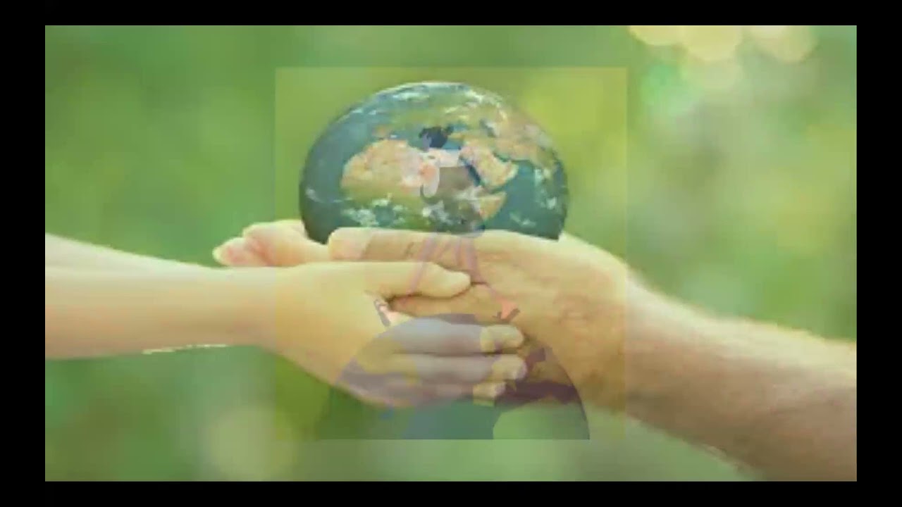 The Living Pharmacy - Healing Gestures of Plants