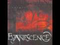 Evanescence - Origin - Field of Innocence 