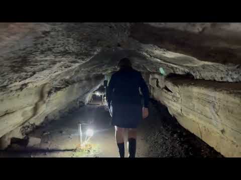 WJR Travel Club:  GALAPAGOS---SANTA CRUZ TORTOISES