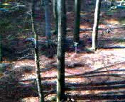 Stempelstelle 120 Elfenstein - Harzer Wandernadel