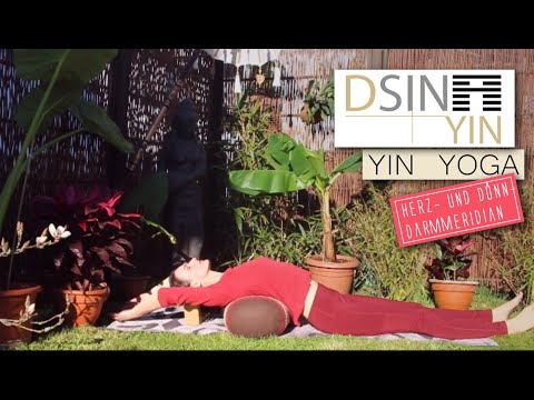 Yin Yoga      Herz und Dünndarm    DsinYin
