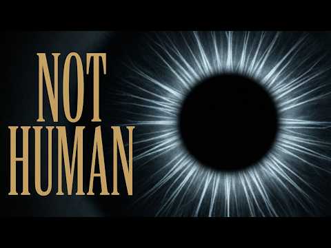 Physicists Found Evidence of 'Observers' That Aren't Human — And They Won't Discuss It