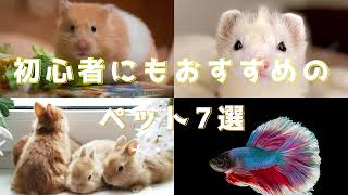 ひとり暮らしや初心者にもおすすめのペット7選