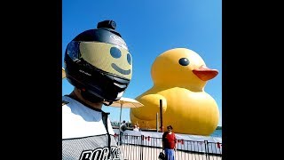 The Giant "Rubber Duck" in Toronto as seen from the highway.