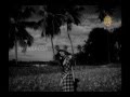 Ekka Sakaa Koti Chennaya Tulu Film Song