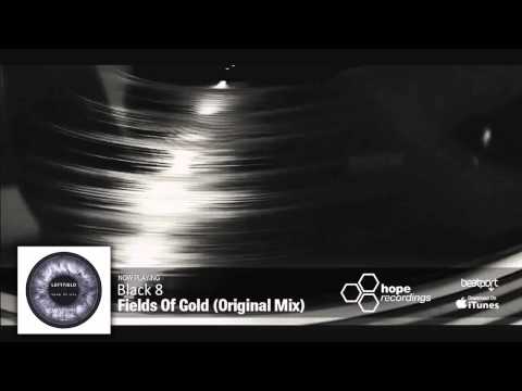 Black 8 - Fields Of Gold (Original Mix)