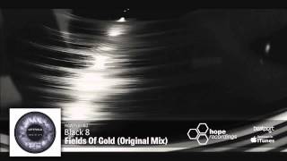 Black 8 - Fields Of Gold (Original Mix)