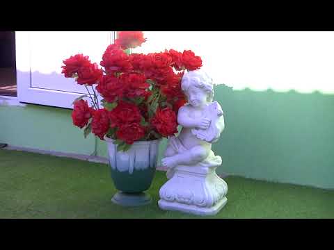 sala de ceremonii  "LA  TAIFAS"  din or. CAUSENI