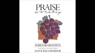 Dave Fellingham- Shine Down (Hosanna! Music)