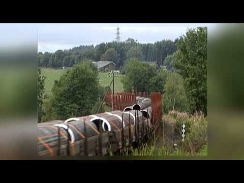 Die Baureihe 225 - Stars der Schiene