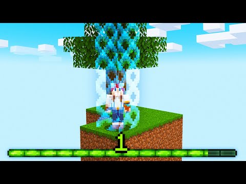 SKYBLOCK MAS A CADA NÍVEL DE XP A BARREIRA AUMENTA