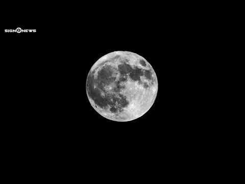 ICYMI: Catch the super blood wolf moon tonight