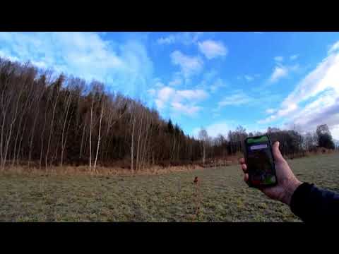 Künstliche Fährte - 630 Schritte - 17 STD Stehzeit - 50ml Schweiß