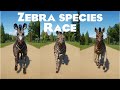 Zebra Species Speed Races In Planet Zoo Included Grevy S Zebra Plains Zebra And Quagga Planet Zoo