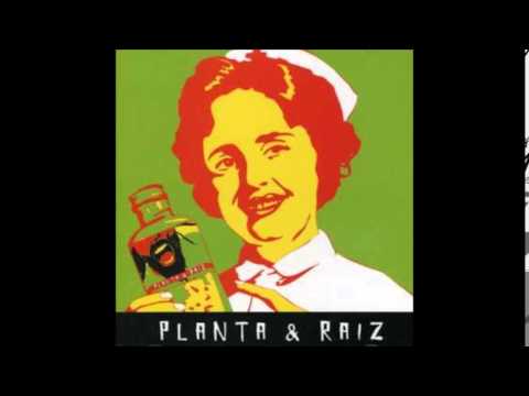 Planta & Raíz - Pra Poucos