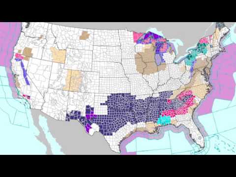 November 19, 2016, Weather Xtreme Video
