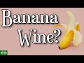 Banana Wine Recipe - Easy Homemade Banana Wine