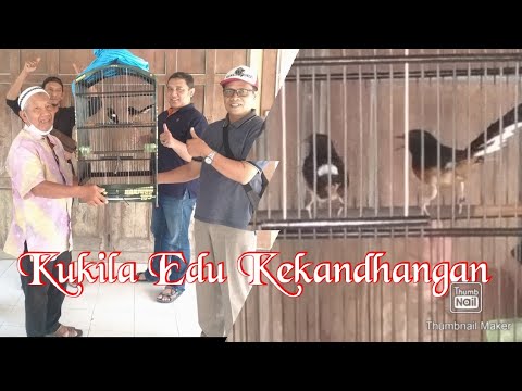 Kukila Edu Kekandhangan