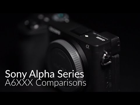 Sony A6100 vs A6400 vs A6600 - Comparison
