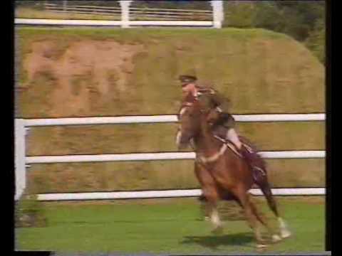 Capt. John Ledingham (IRL) & Kilbaha (ISH) - 1994 Hickstead Derby 1st Rnd clear